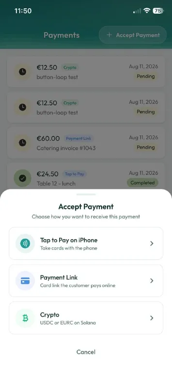 Fiat Tap to Pay